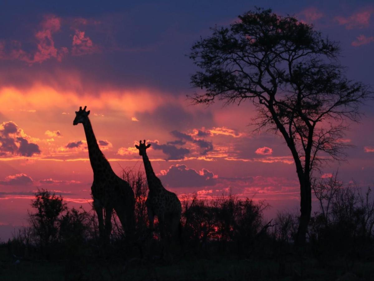 Paradise River Lodge Hoedspruit Exteriér fotografie