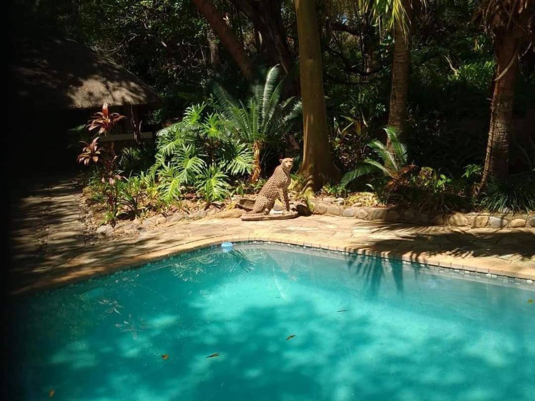 Paradise River Lodge Hoedspruit Exteriér fotografie